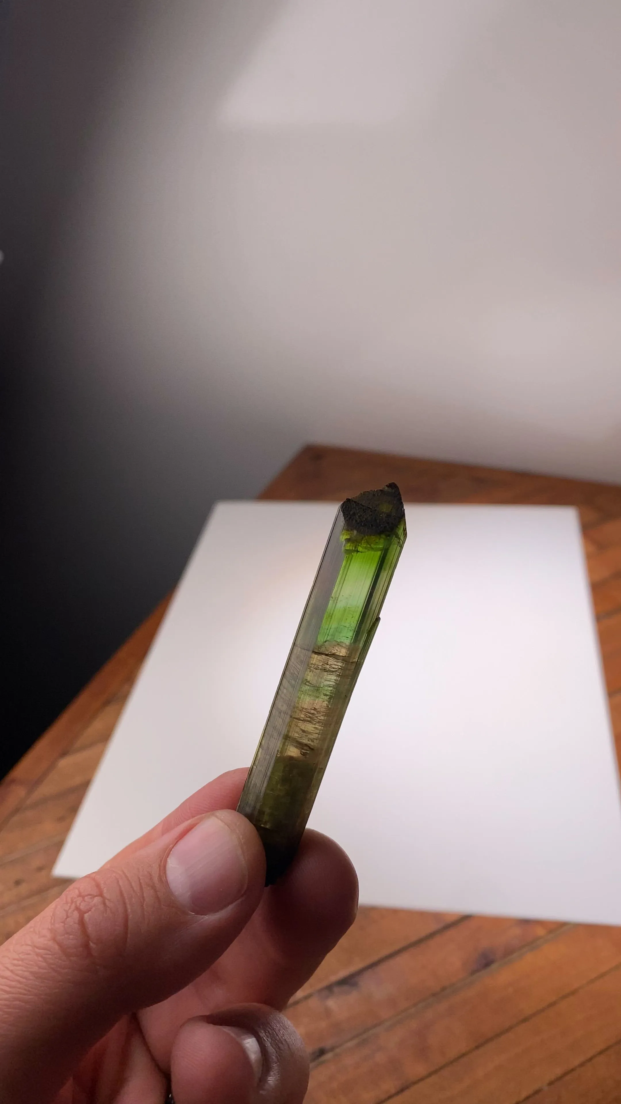 specimen video