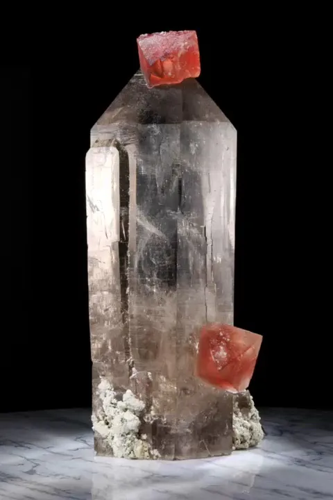 specimen video