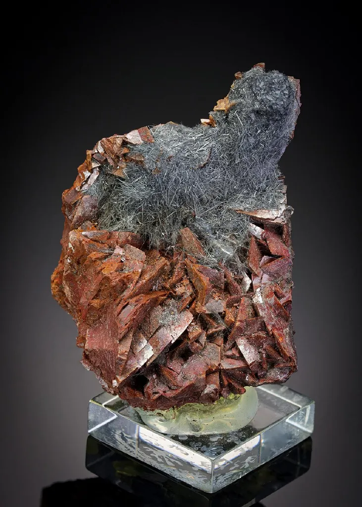 Dadsonite Siderite image