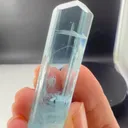 specimen video