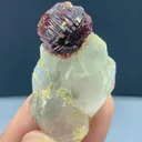 Damage free Etched spessartine Garnet on Quartz mineral specimen @ Pak - image 1