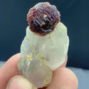 Damage free Etched spessartine Garnet on Quartz mineral specimen @ Pak - image 3