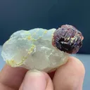 Damage free Etched spessartine Garnet on Quartz mineral specimen @ Pak - image 2