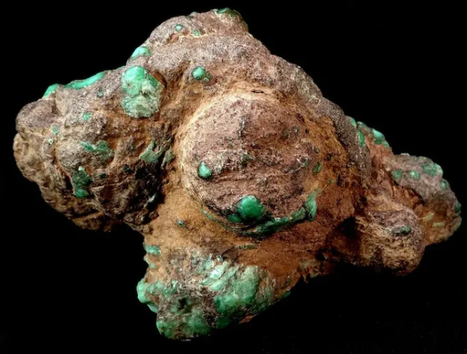Damale Turquoise (Varacite), clam replacement, Austin, Nevada image
