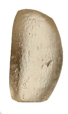 Danburite image