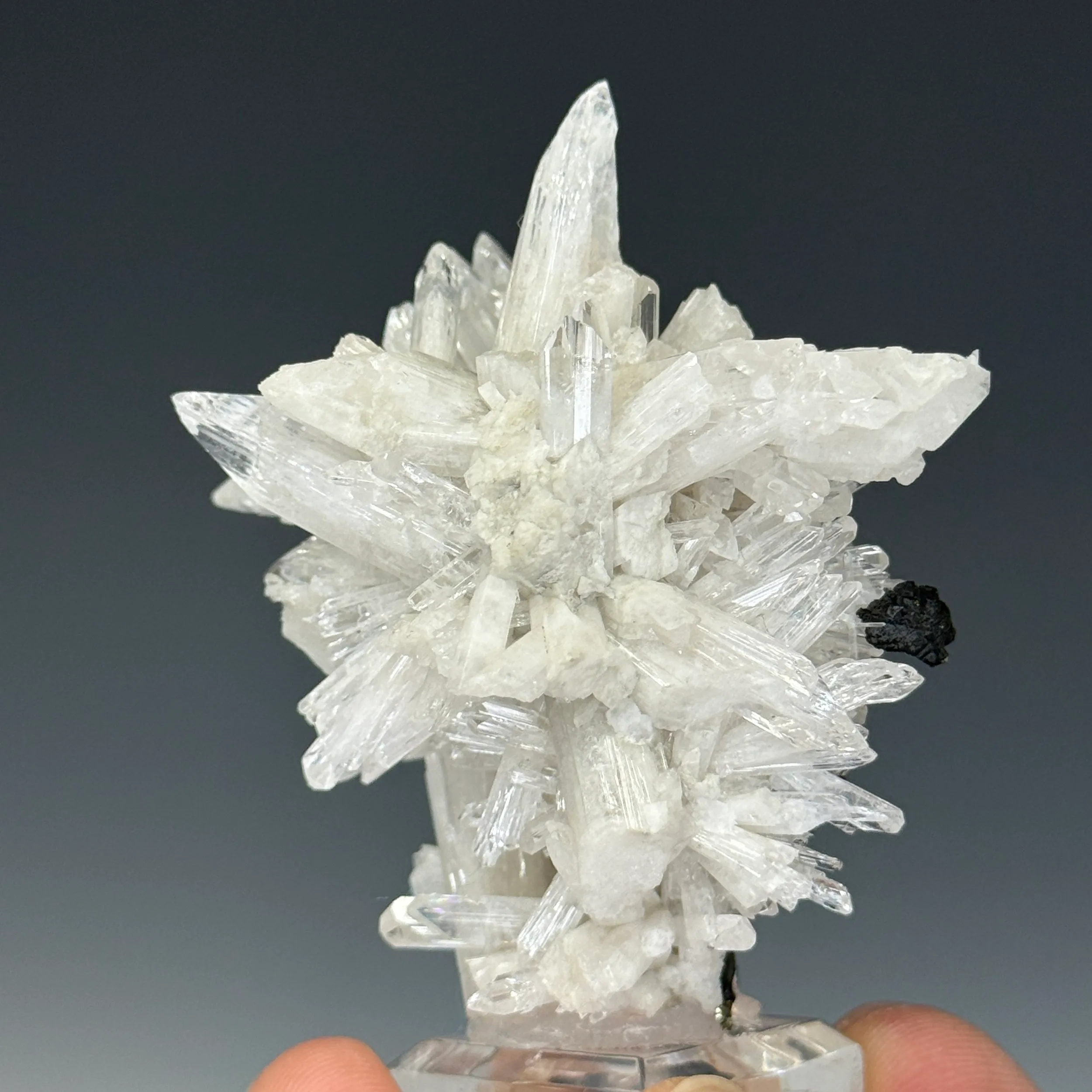 Danburite - image 2