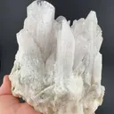 Danburite from Charcas, San Luis Potosí, Mexico - image 2