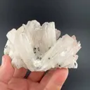Danburite from Charcas, San Luis Potosí, Mexico - image 2