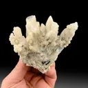 Danburite from Charcas, San Luis Potosí, Mexico - image 1