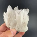 Danburite from Charcas, San Luis Potosí, Mexico - image 2