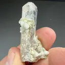Danburite from Charcas, San Luis Potosí, Mexico - image 2