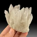 Danburite from Charcas, San Luis Potosí, Mexico - image 1
