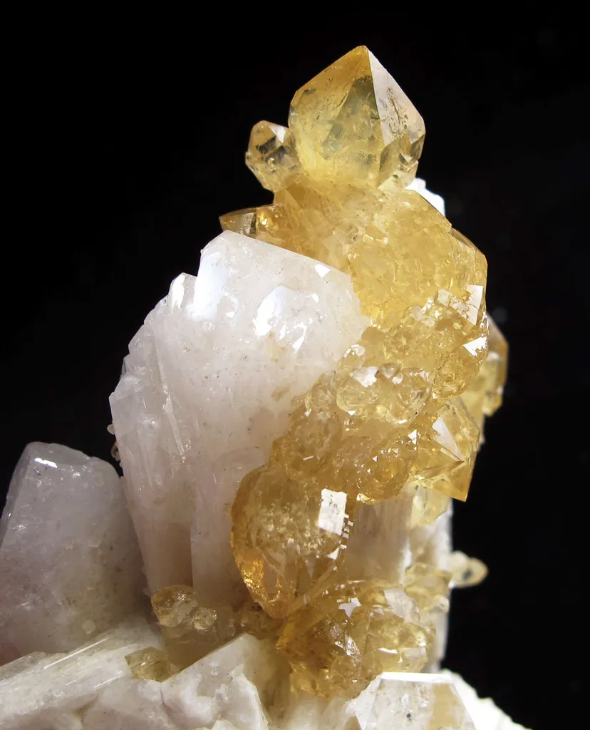 Danburite With Citrine Quartz - image 4