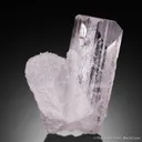 Danburite with Quartz - image 4