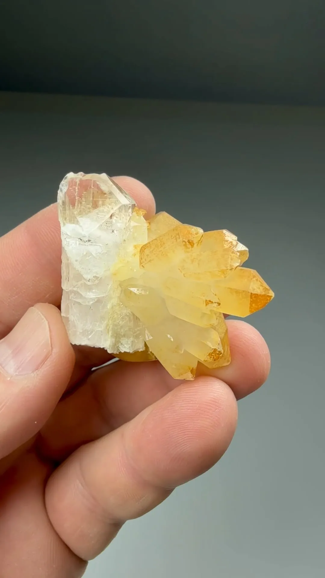 Danburite with Quartz - image 2