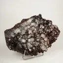 Dark Chocolate Marshy Apophyllite Free Standing dual Side Natural Mineral Specimen - image 11