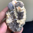 specimen video
