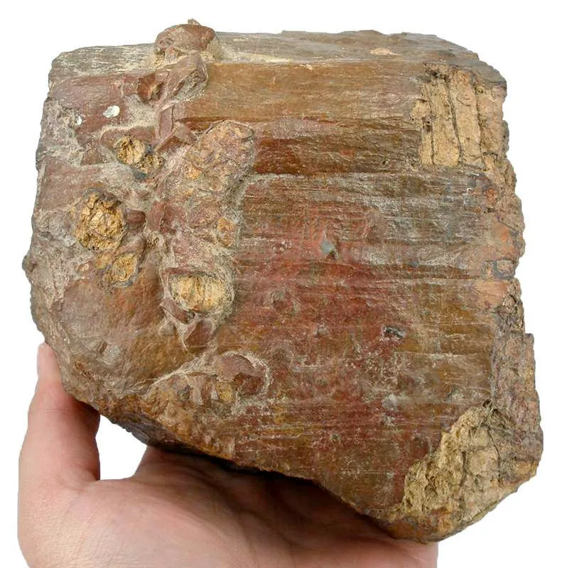Davidite image