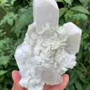 specimen video