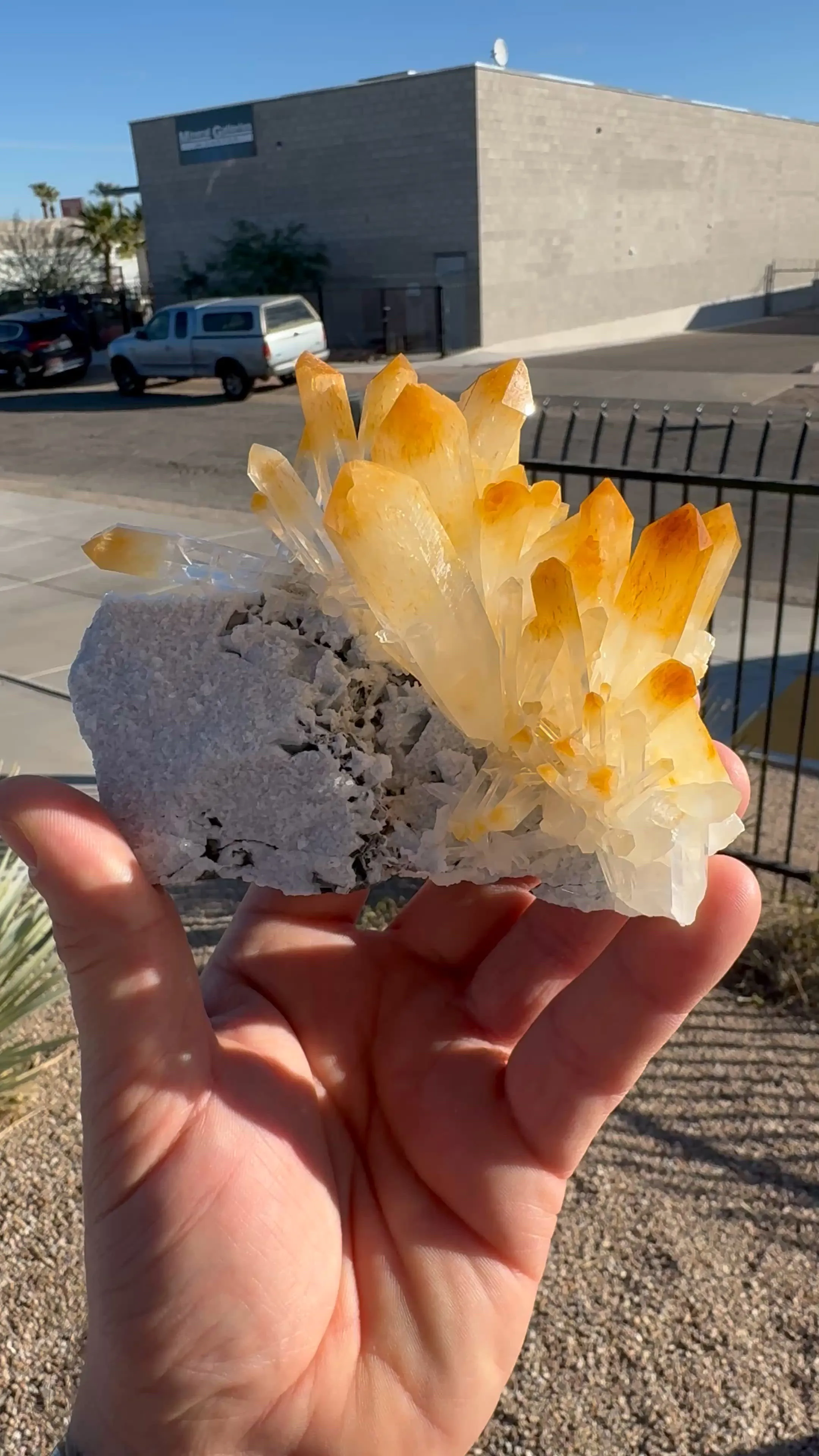 specimen video