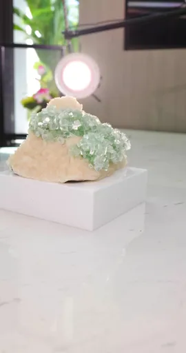 specimen video