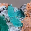 Deep Green Apophyllite Flower with Heulendite. - image 5