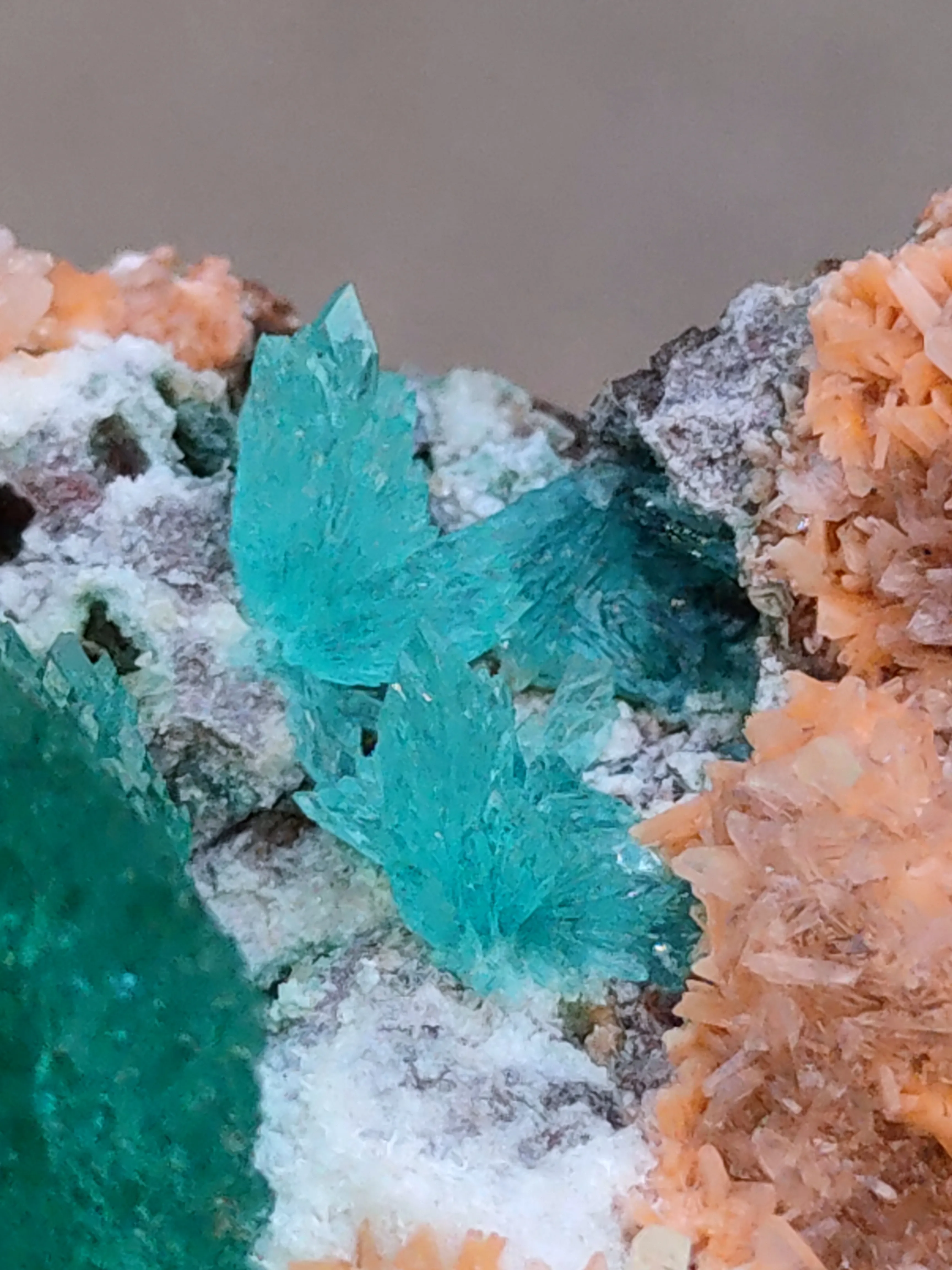 Deep Green Apophyllite Flower with Heulendite. - image 5