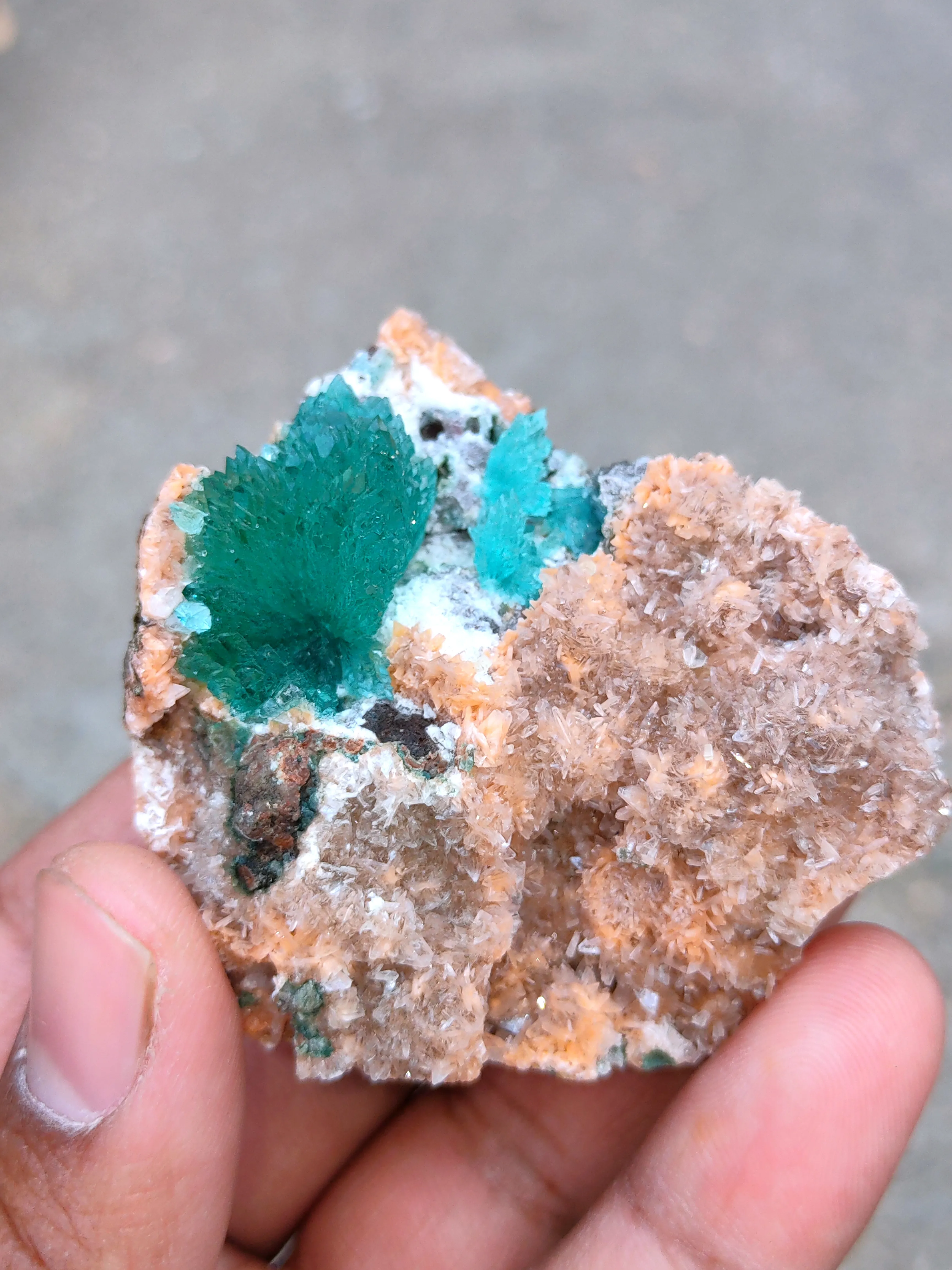 Deep Green Apophyllite Flower with Heulendite. - image 3