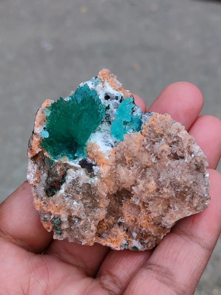 Deep Green Apophyllite Flower with Heulendite. - image 6