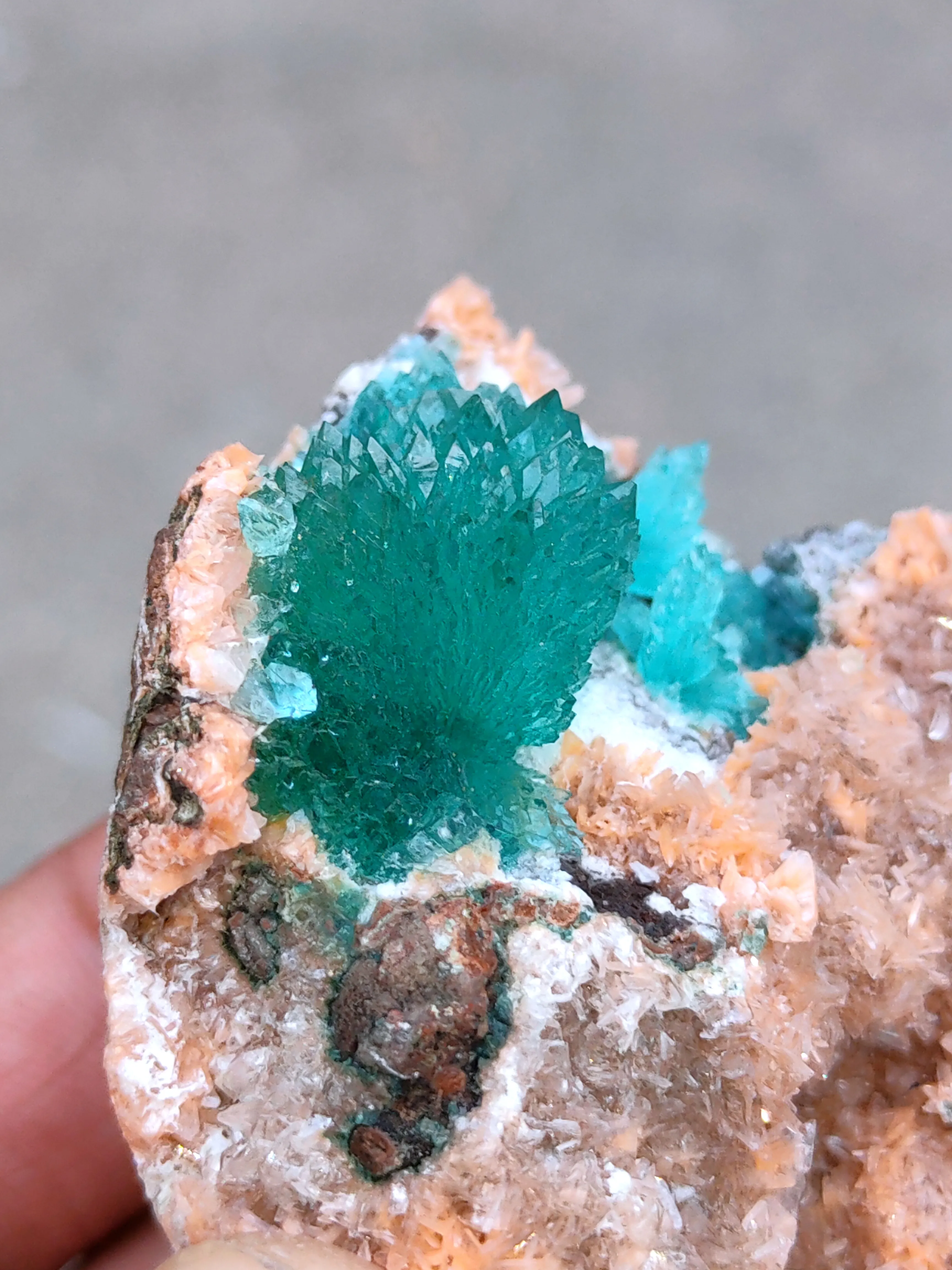 Deep Green Apophyllite Flower with Heulendite. - image 4