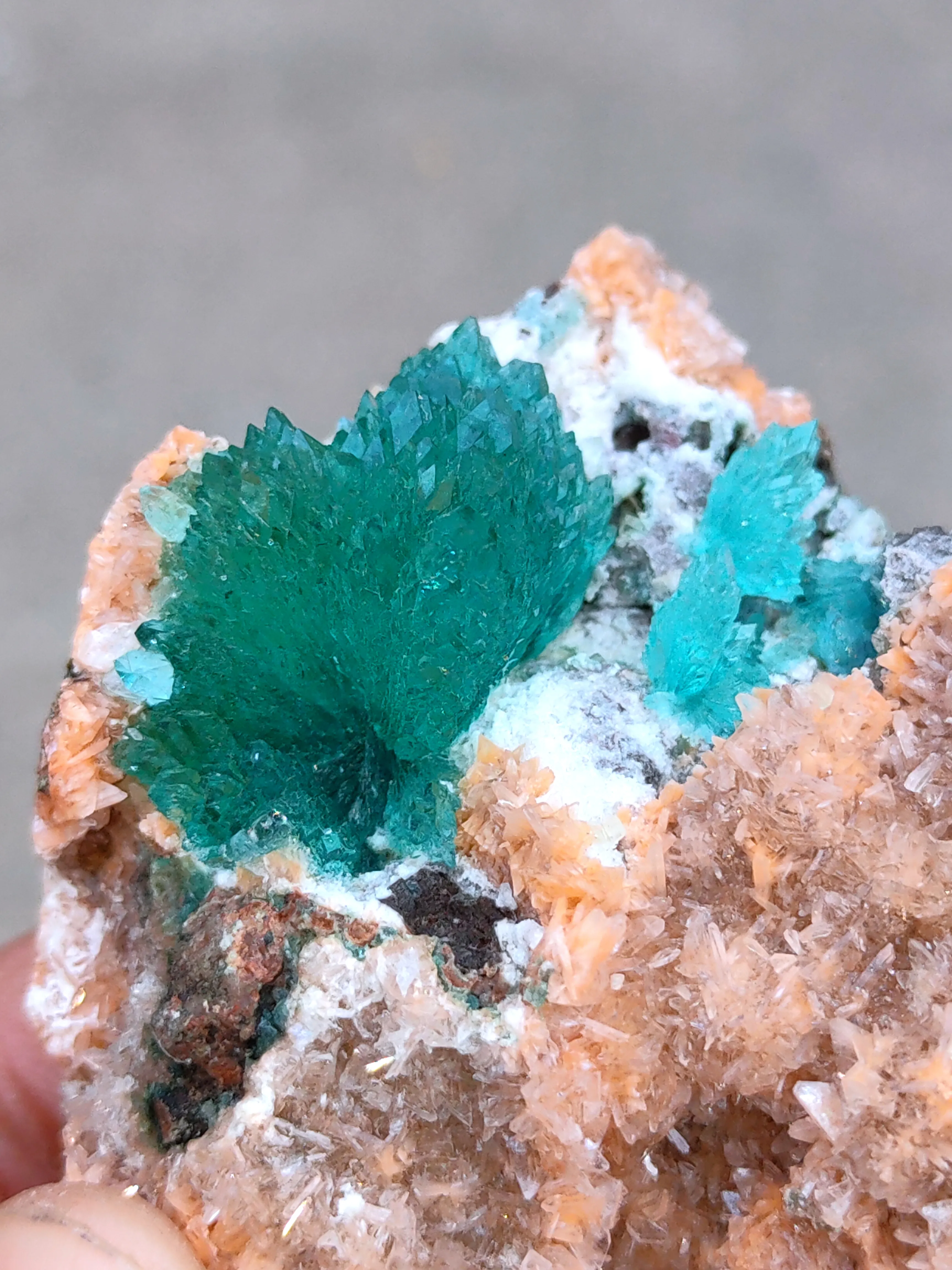 Deep Green Apophyllite Flower with Heulendite. - image 2