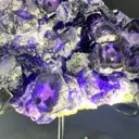 Deep Purple Cross‑Window Phantom Fluorite Cluster, Yindu Mine, Inner Mongolia, China - image 4