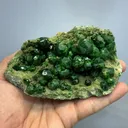 specimen video