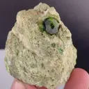 specimen video