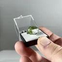 specimen video