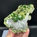 specimen video