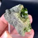 specimen video