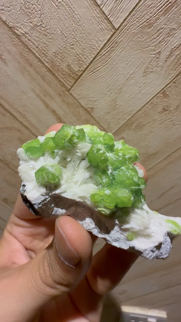 specimen video