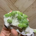 specimen video