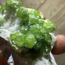 Demantoid Garnet Specimen from Afghanistan - image 4
