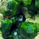 Demantoid WITH SERIOUS PRESENCE - image 4