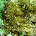 Demesmaekerite With Guilleminite on Selenium-Rich Digenite - image 1