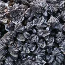 Descloizite - image 2