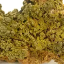 Descloizite - Cuprian - image 2