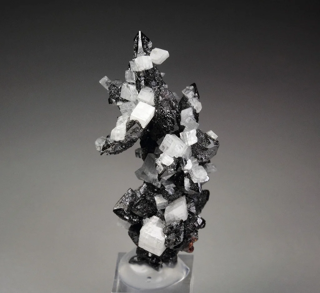 Descloizite from Berg Aukas Mine, Otjozondjupa Region, Namibia - image 3