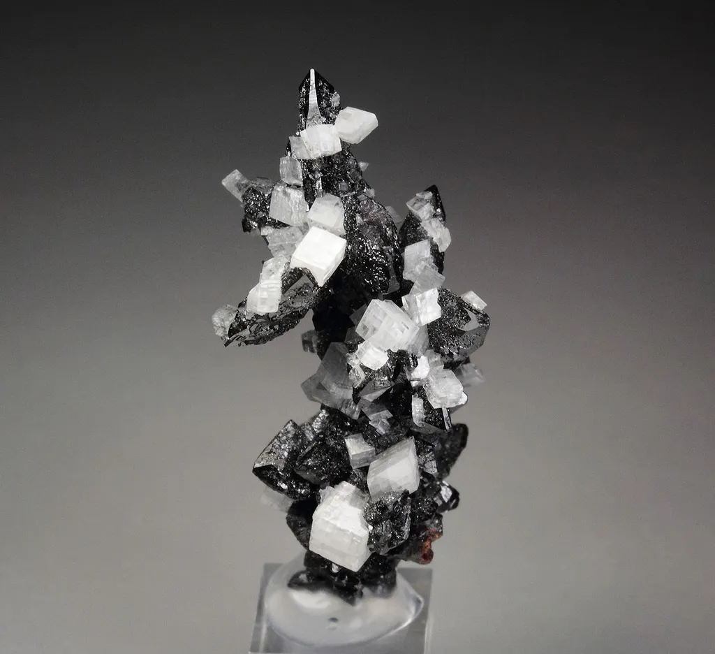 Descloizite from Namibia, Otjozondjupa Region, Berg Aukas Mine - image 3