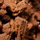 Descloizite, Vanadinite - image 2