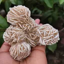 Desert Rose Selenite Specimen 🏜️🏝️ - image 6