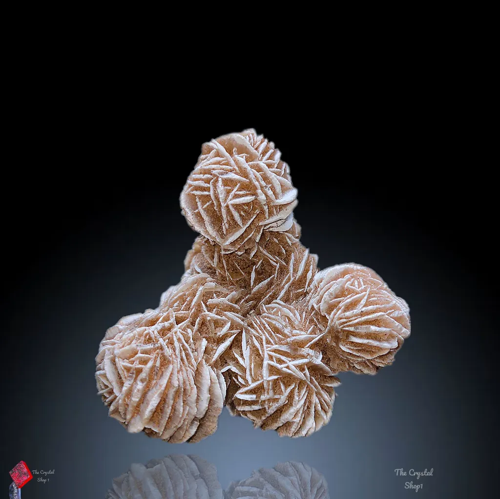 Desert Rose Selenite Specimen 🏜️🏝️ image