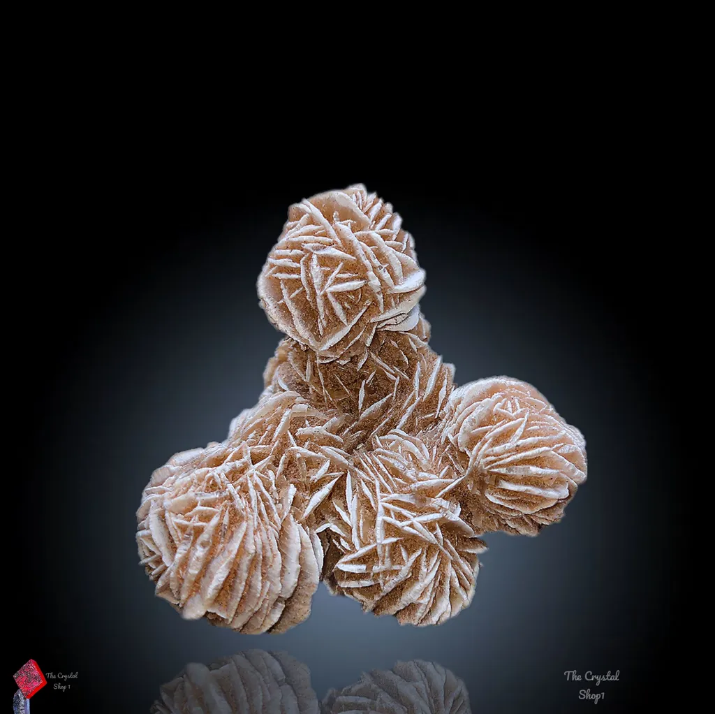 Desert Rose Selenite Specimen ๐๏ธ๐๏ธ - image 2